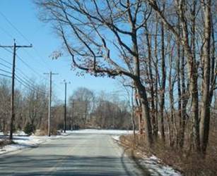 Photo of many trees along side of the road obscuring the poorly-placed STOP sign at the upcoming intersection.